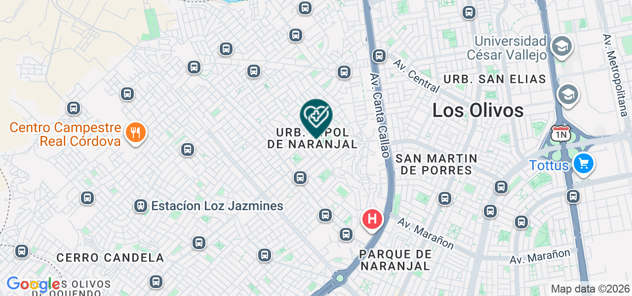 Mapa de Berrocal Medrano Carla Janeth