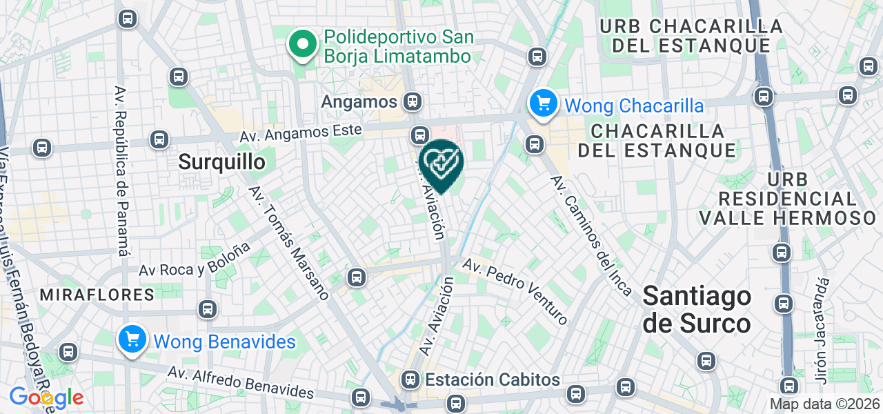 Mapa de Patologia Oncologica S.A.C.