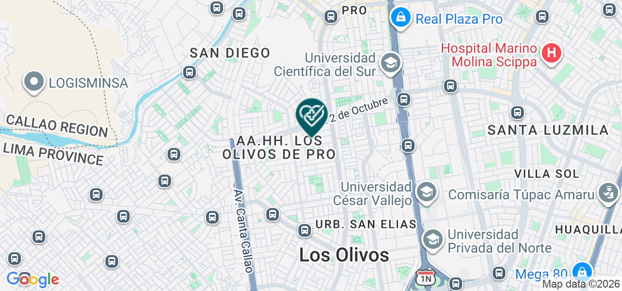 Mapa de Consultorios Medicos Flores