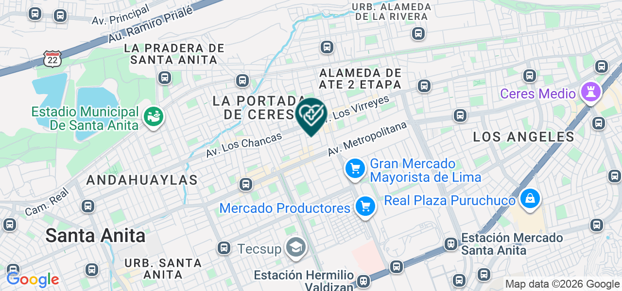 Mapa de Servicios de Salud Hopelab