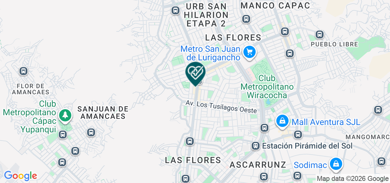 Mapa de Ramirez Sandoval Miguel Angel