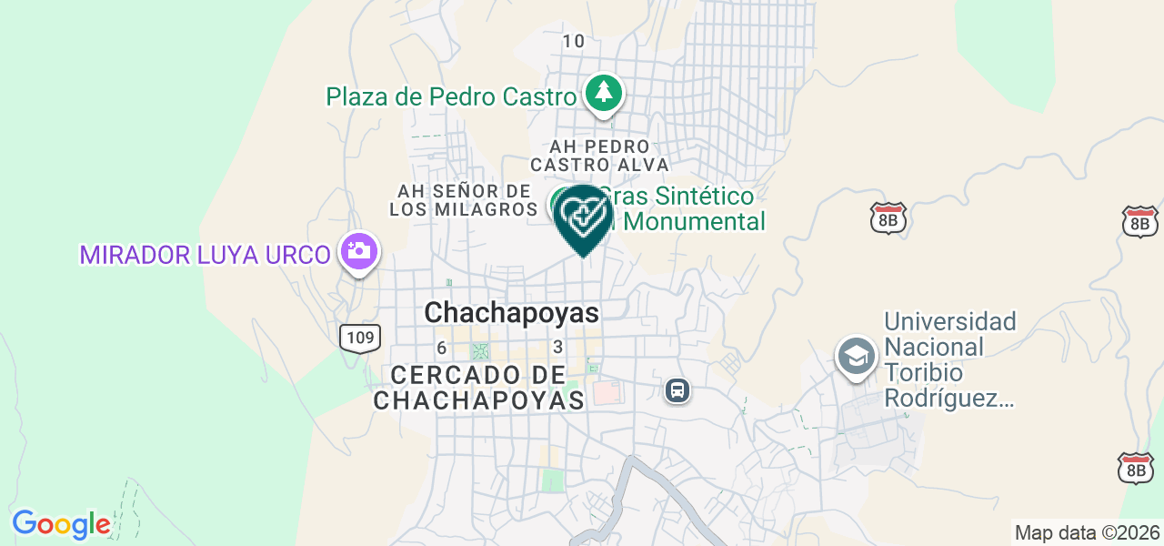 Mapa de Centro de Medicina Integral y Natural Salud y Vida