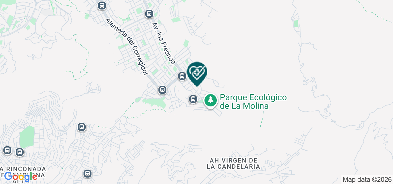 Mapa de Vitta Oral