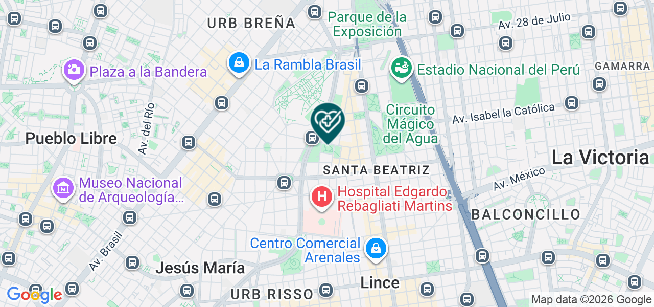 Mapa de Consultores Medicos