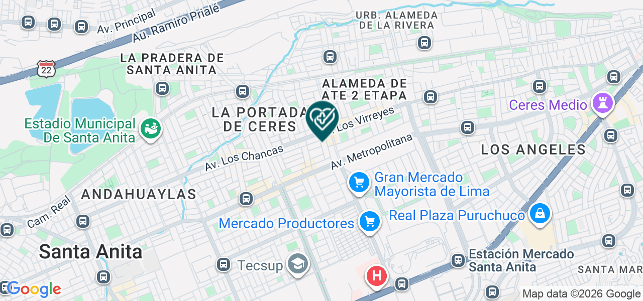 Mapa de Rosa Liz Esther Bardales Figini