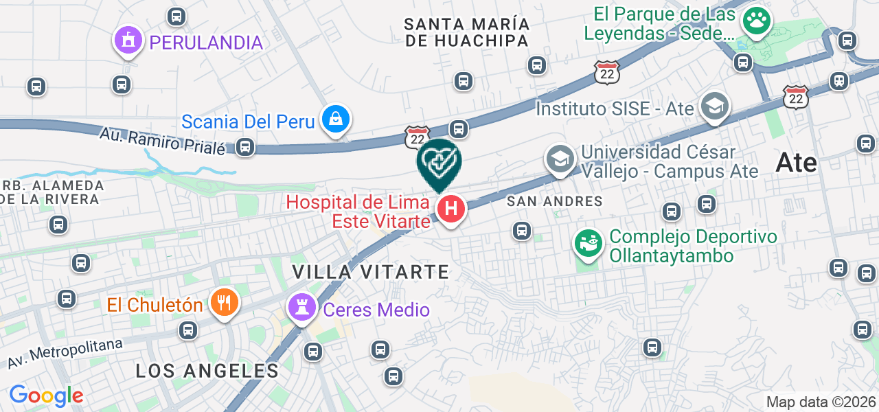 Mapa de Consultorio Medico / Asma y Rinitis Alérgica