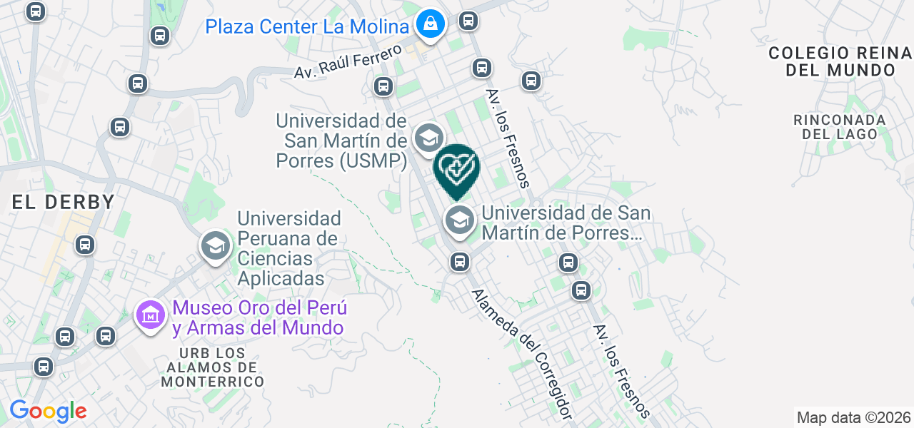 Mapa de Servicios de Otorrinolaringologia "perez Honores