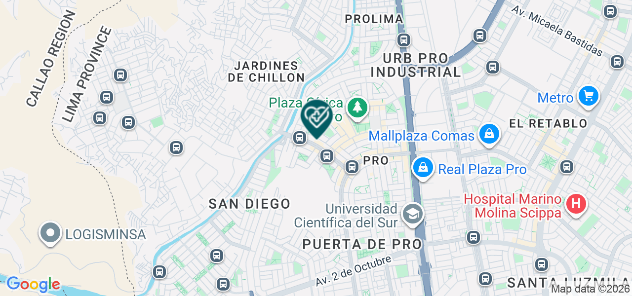 Mapa de Centro de Terapia Física Integral Netania