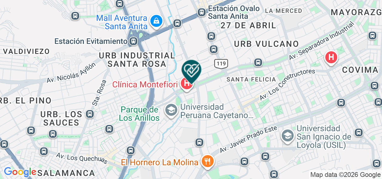 Mapa de Servicios de Salud Montefiori SAC