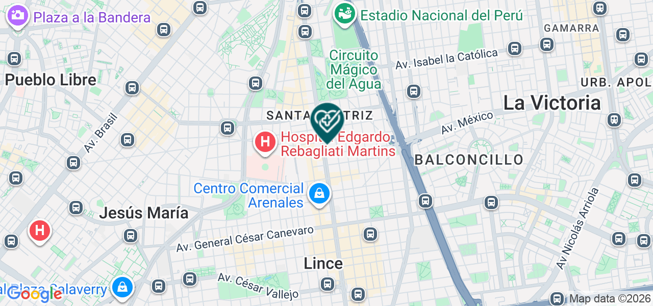Mapa de Servicios Integrales de Salud Santo Domingo EIRL