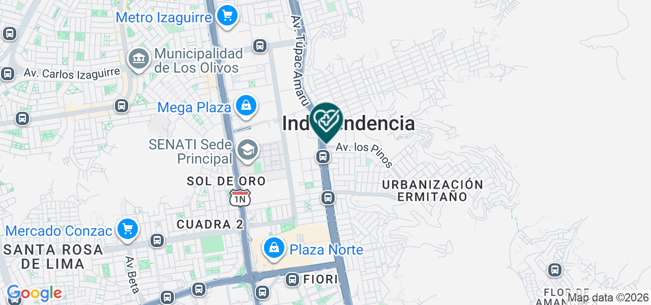 Mapa de Dental Virgen del Carmen