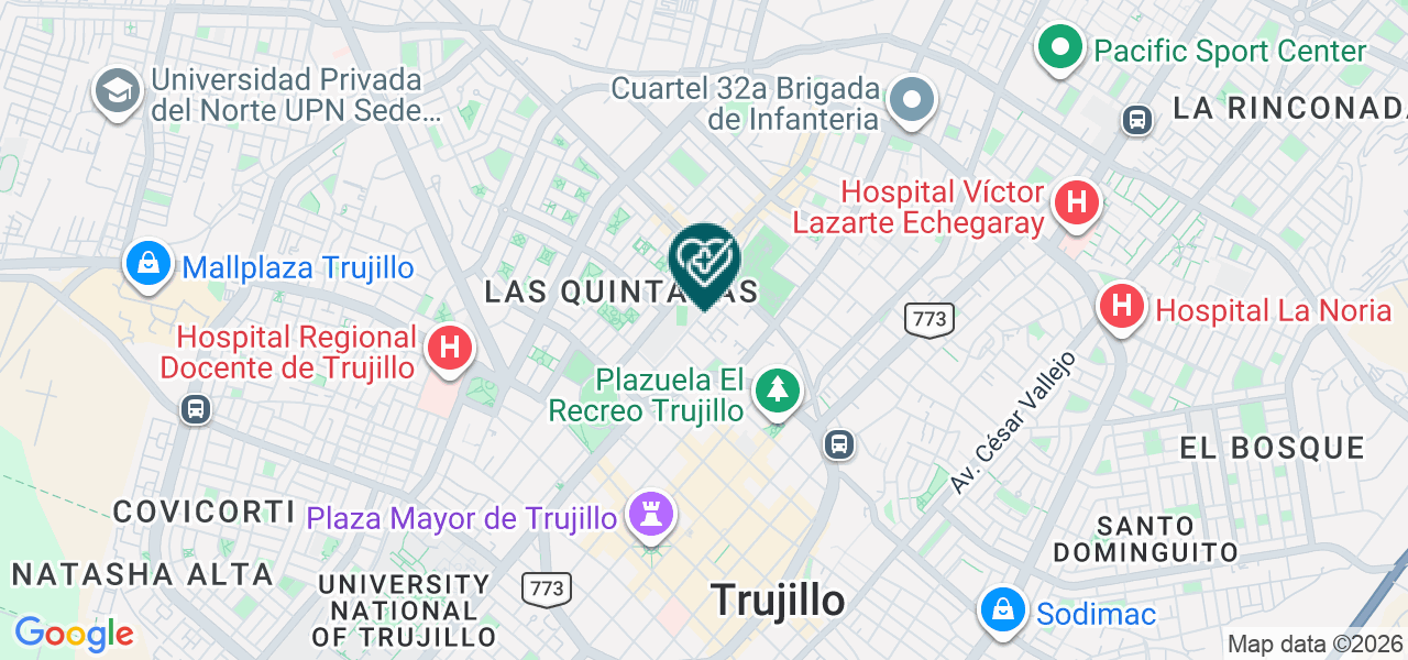 Mapa de Organizacion Medica y de Servicios Trujillo S.A.C