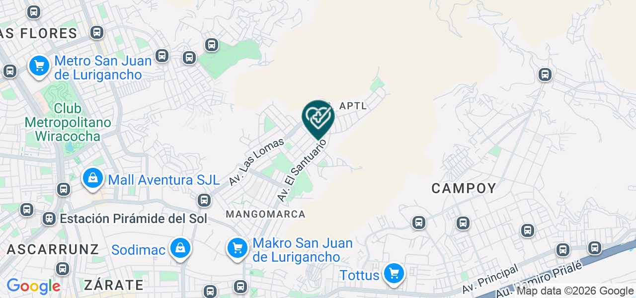 Mapa de Choquehuanca Flores Santiago Bernardino