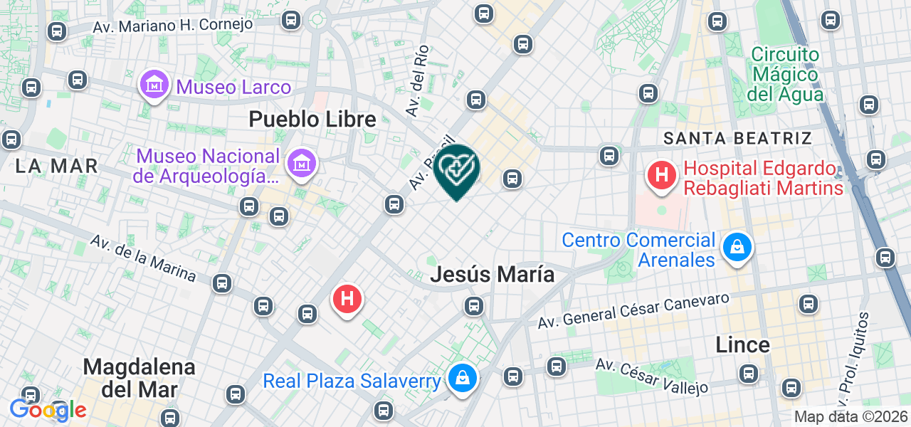 Mapa de Palma Vergara Lily Mariela