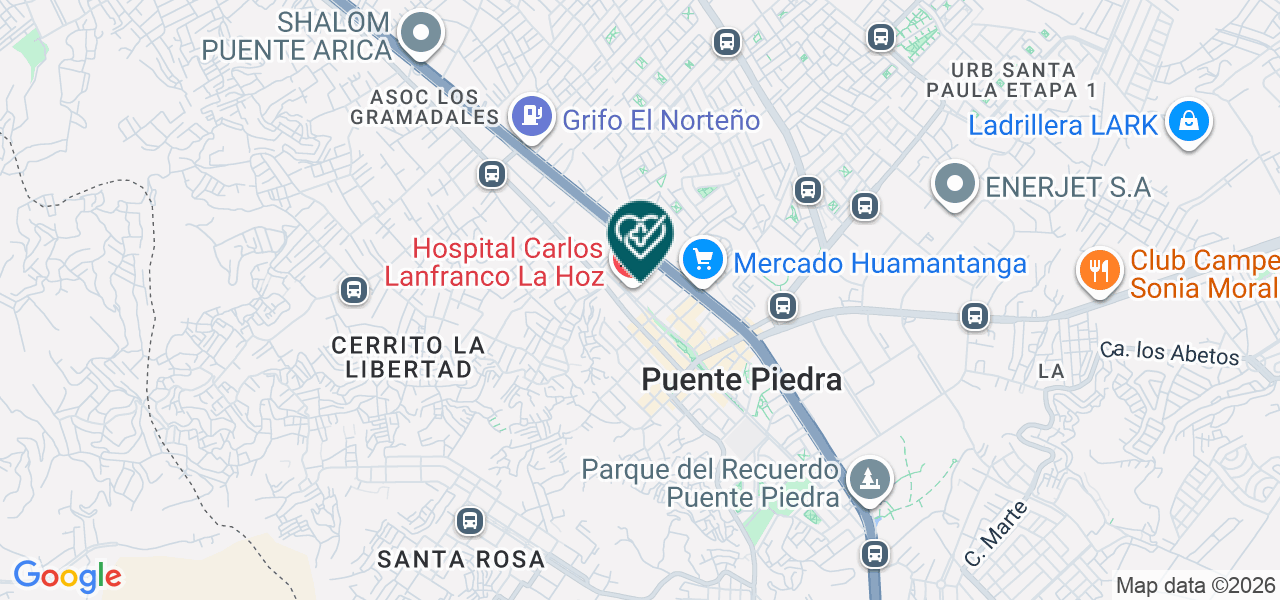 Mapa de Virgen de la Asuncion
