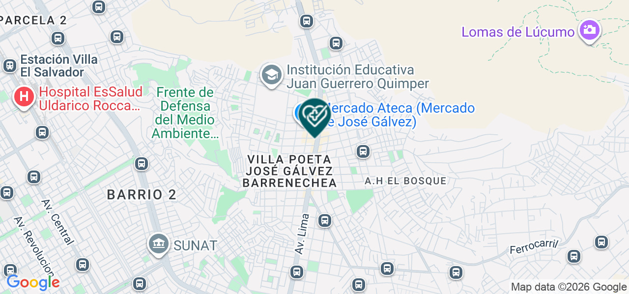 Mapa de Consultorio de Terapia Fisica y Rehabilitacion