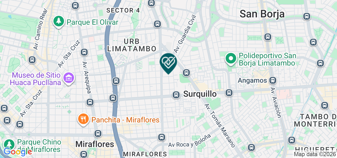 Mapa de Organizacion Iberoamericana de Salud Ocupacional
