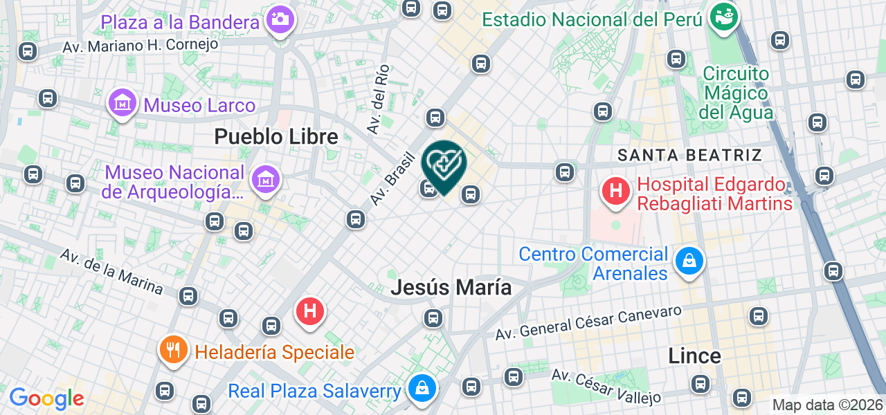 Mapa de Christian G.bernales Pin Servicios Medicos