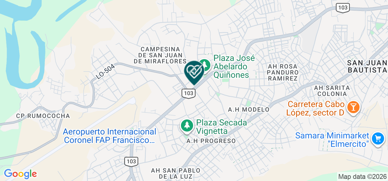 Mapa de Bien D' Salud_loreto S.A.C
