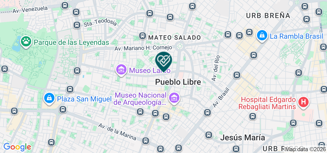 Mapa de Salud Consulta