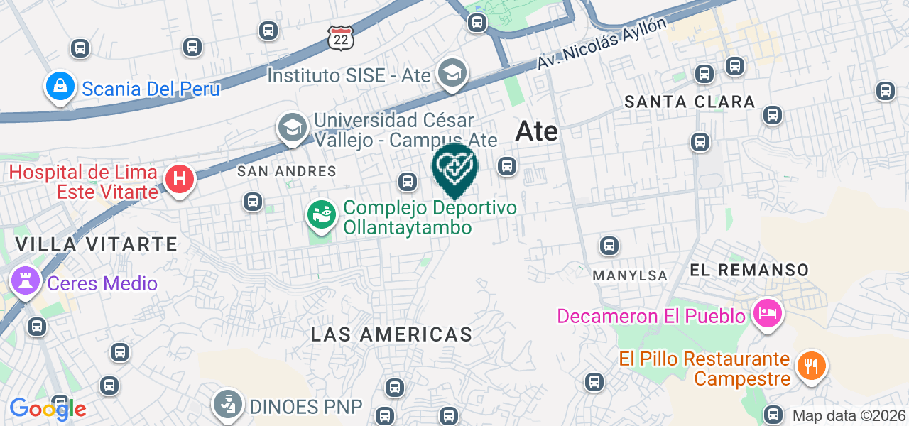 Mapa de Vargas Rosales Antonia Irene