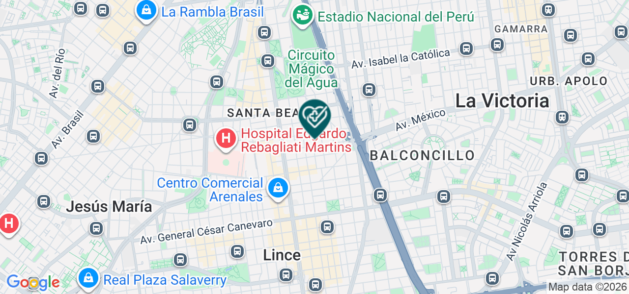 Mapa de Instituto de Ciencias Medicas y Ambientales S.A.C.