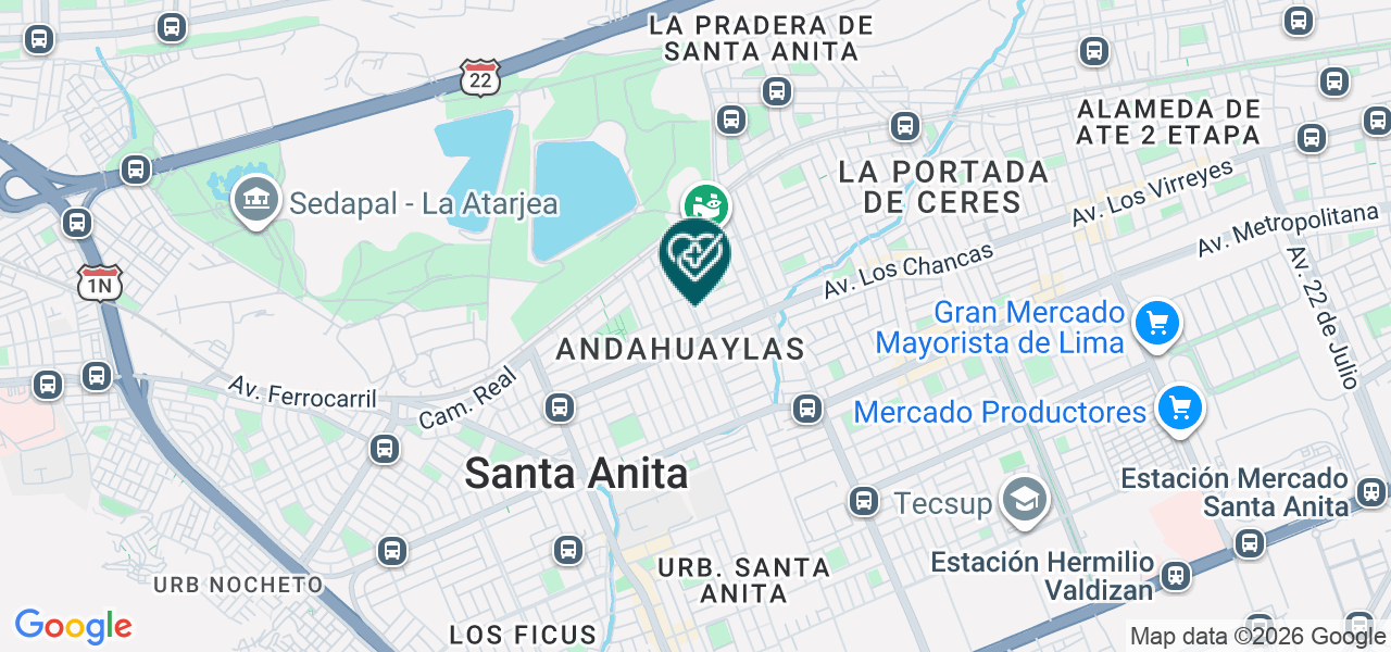Mapa de Servicios Medicos Santa Anita