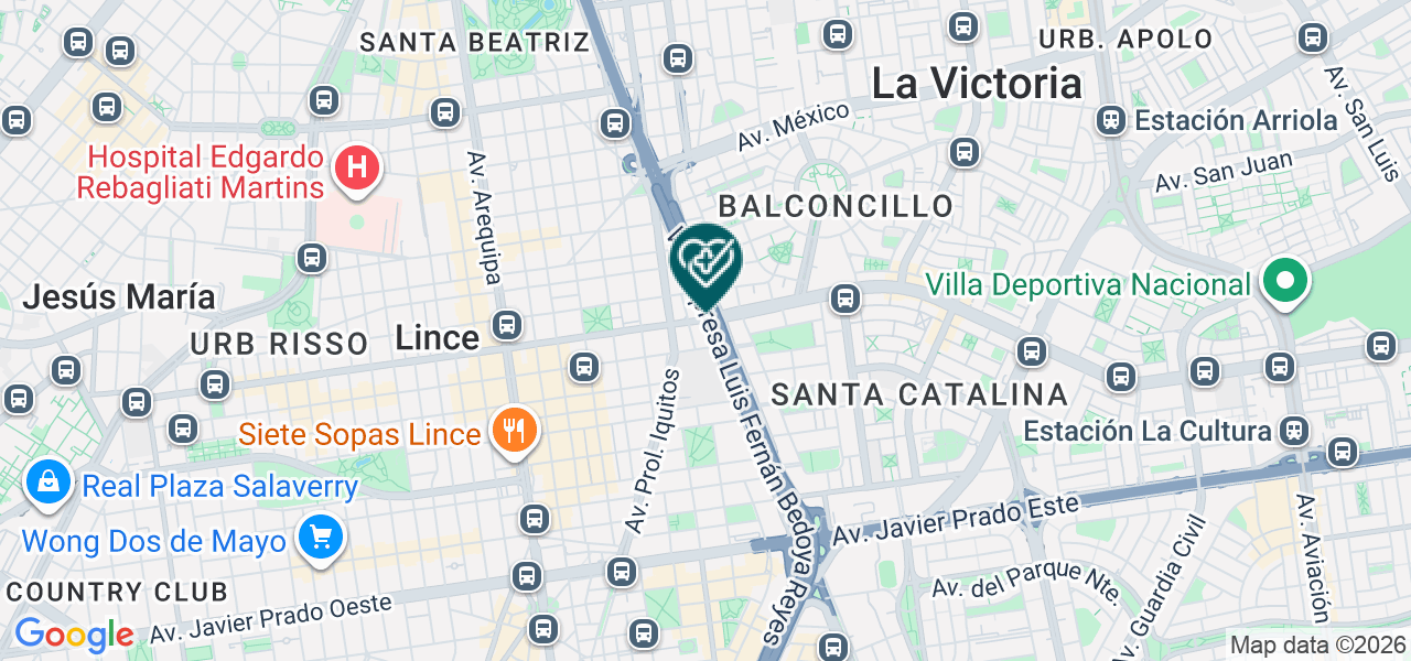 Mapa de Arica Leon Yashmin